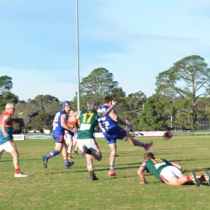 DSC_0628.JPG