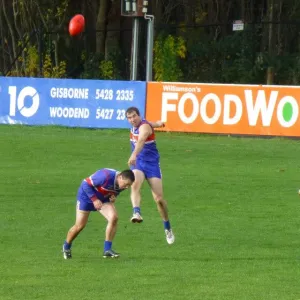 2013_round_5_35s_and_45s_vs_geelong_026.jpg