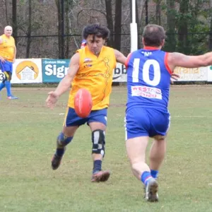 2018_08_12_round_10_ballarat_002.jpg