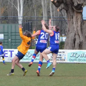 2018_08_12_round_10_ballarat_011.jpg