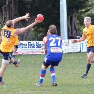 2018_08_12_round_10_ballarat_014.jpg