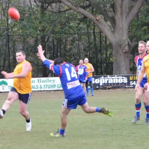 2018_08_12_round_10_ballarat_017.jpg