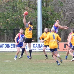 2018_08_12_round_10_ballarat_028.jpg