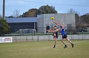 2026-round-7-south-coast-sharks-2787.jpg