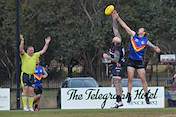 2026-round-7-south-coast-sharks-2999.jpg